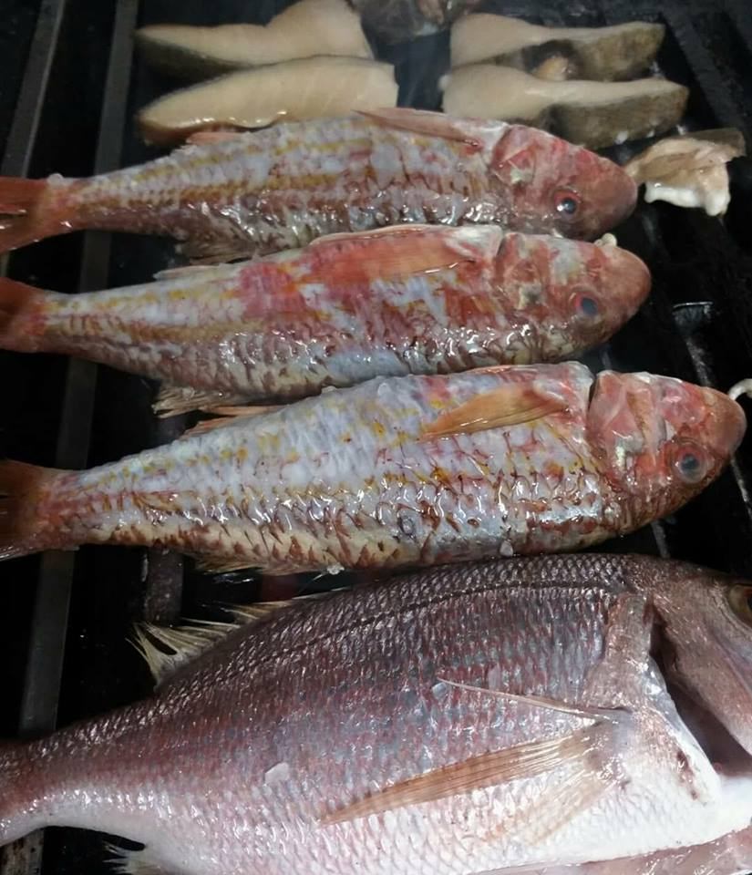 Red mullet cooking on the charcoal grill